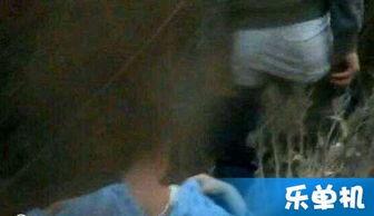 国产免费的野战视频,揭秘真实战场上的英勇瞬间 第1张 国产免费的野战视频,揭秘真实战场上的英勇瞬间 第1张